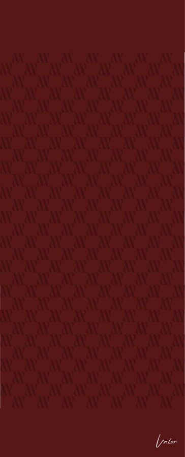 İcon Desen Şal / Kızılcık - (1)