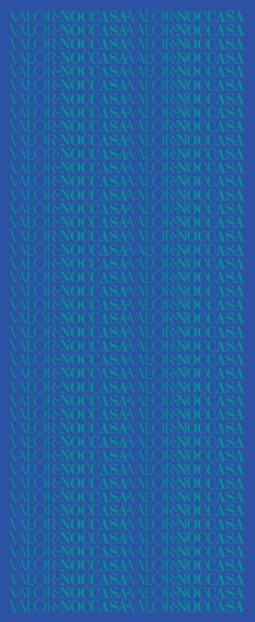 Monogram Desen Şal / Blue - (1)