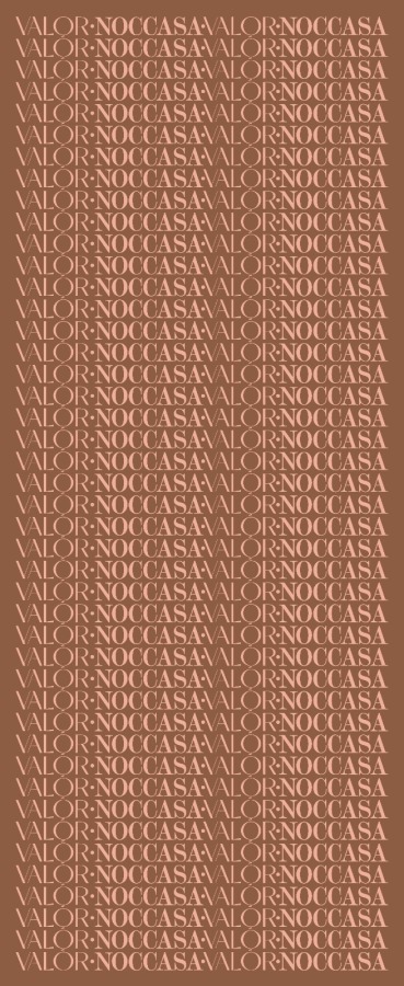 Monogram Desen Şal / Brown - (1)