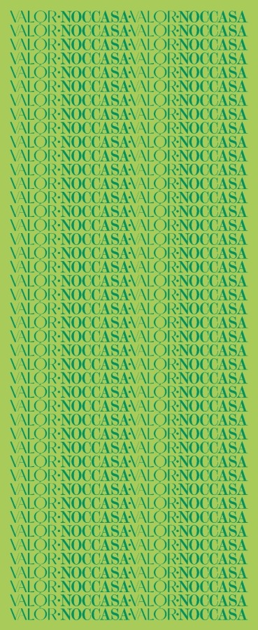 Monogram Desen Şal /Kelly Green - (1)