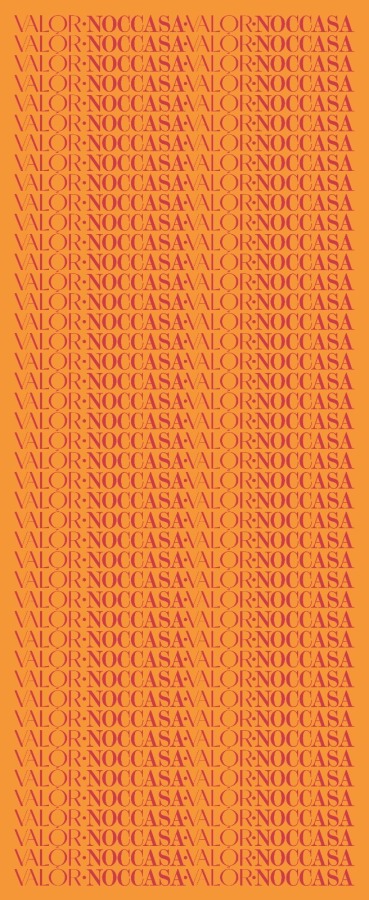 Monogram Desen Şal / Orange - (1)