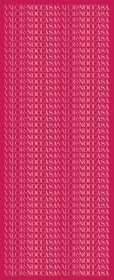 Monogram Desen Şal / Thulian Pink - (1)